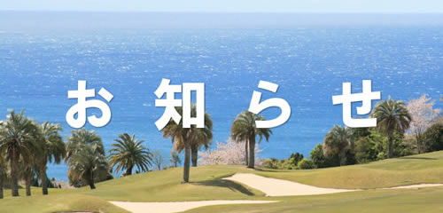 スタッフブログ